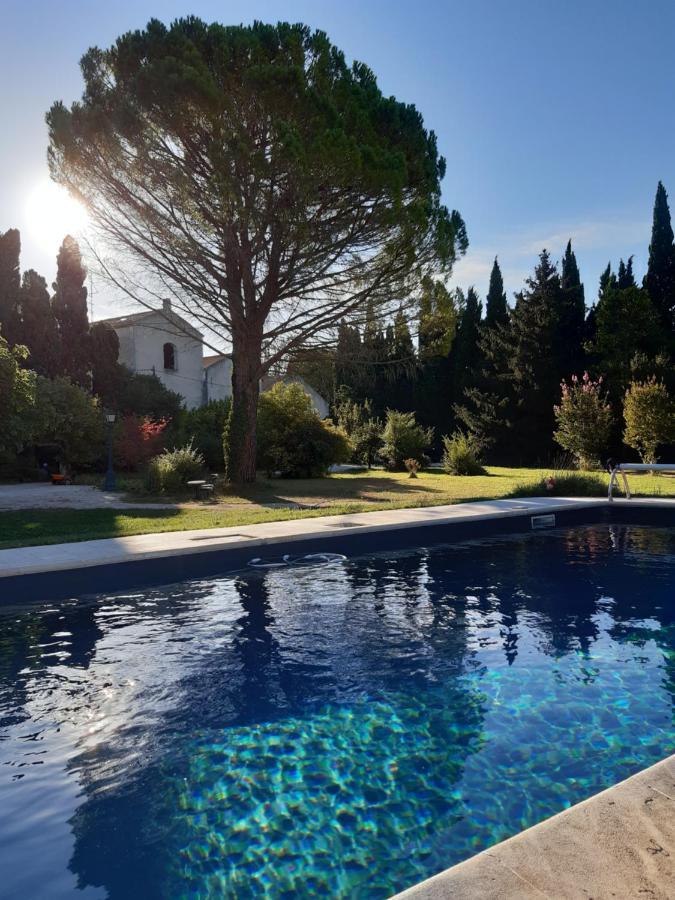 Remy A Dit Saint-Rémy-de-Provence Extérieur photo