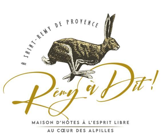 Remy A Dit Saint-Rémy-de-Provence Extérieur photo