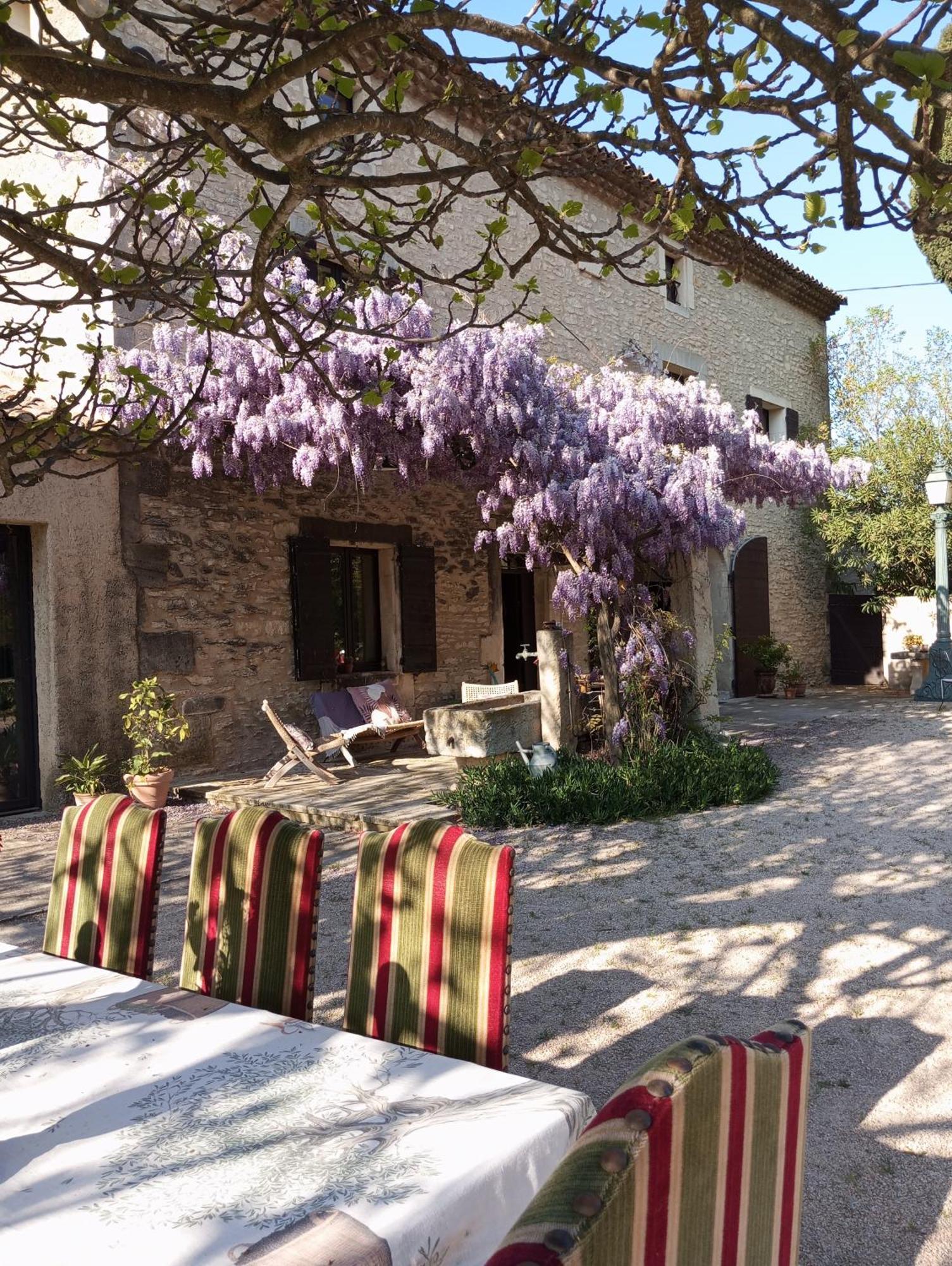 Remy A Dit Saint-Rémy-de-Provence Extérieur photo