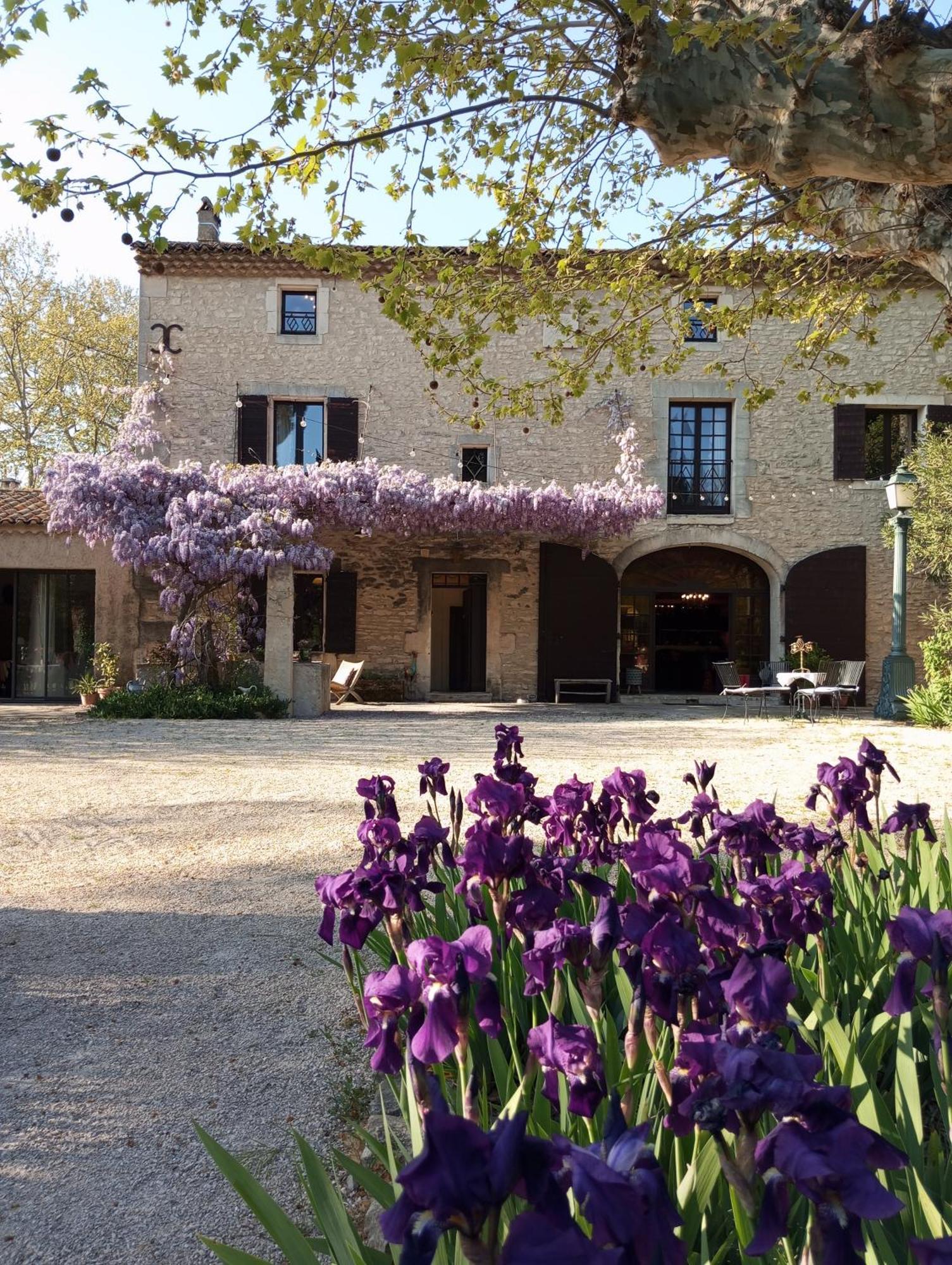 Remy A Dit Saint-Rémy-de-Provence Extérieur photo
